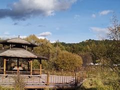 -莫尔道嘎国家森林公园