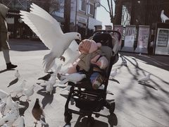 -中粮·祥云小镇
