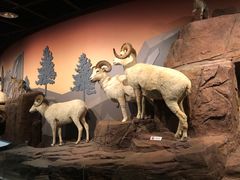 -陕西自然博物馆