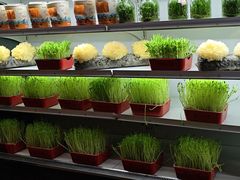 -番食园鲜食火锅(高新店)