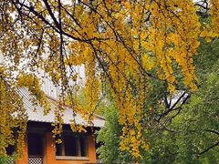 -湖北中医药大学(昙华林校区)