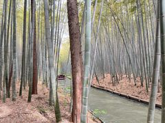 -同里国家湿地公园