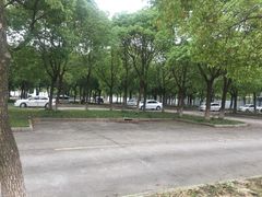 -安飞驰驾校·学车连锁(金高店)