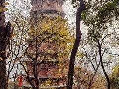 -宝通禅寺