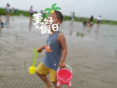 -奉贤海滩