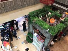 -云天楼国鼎喜宴中心(国鼎店)