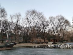 -太原动物园