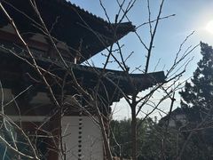 -径山寺