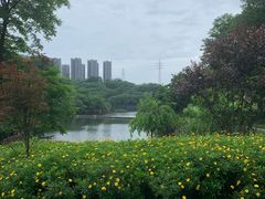 -重庆彩云湖湿地公园