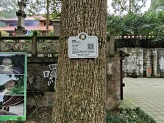 -都江堰普照寺