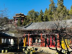 -宫事颐庭·老佛爷贵寿下午茶(颐和园店)