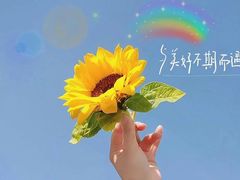 -沈阳铁西万象汇