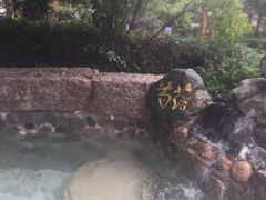 -黄山温泉国际旅游度假区