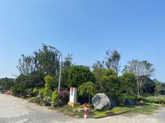 -龙大花卉苗木市场