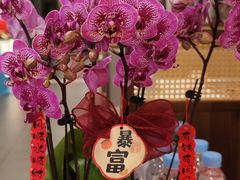 -博望坡饭店(宜山路店)