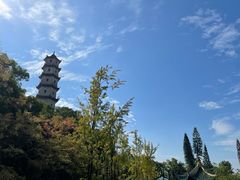 -江心屿景区