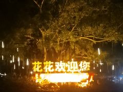 -南宁花花大世界景区