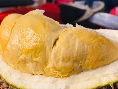 -都念榴莲·城市榴莲