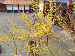-都江堰普照寺
