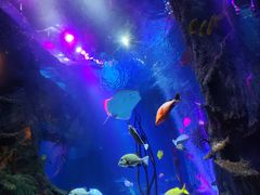 -沈阳海洋探索中心