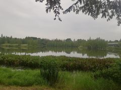 -白鹭湾湿地公园