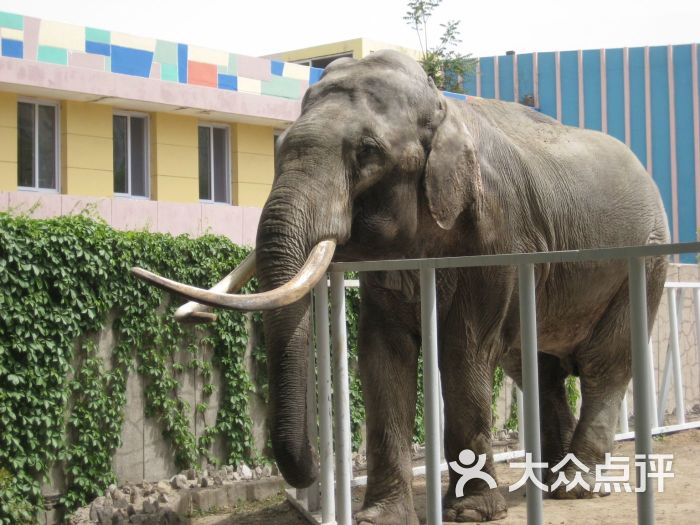 天津動物園圖片 - 第61張