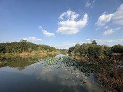 -白鹭湾湿地公园