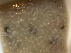 皮蛋瘦肉粥-嘉和一品粥(政府街店)