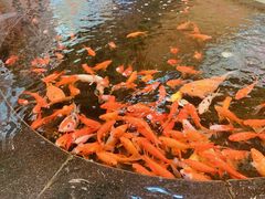 -新世界大丸百货