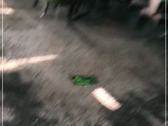 -798餐厅(任丘路店)