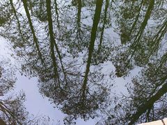 -渌洋湖湿地公园