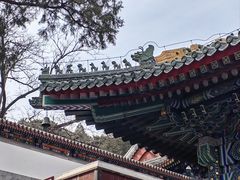 -香山公园