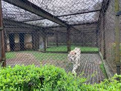-合肥野生动物园