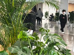 -山东大学齐鲁医院(青岛院区)