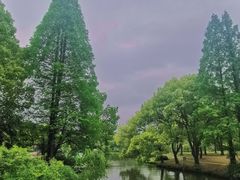 -苏州上方山国家森林公园