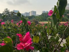-深圳龙潭公园