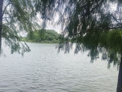-海珠湖公园