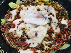 -金三可市井水煮鱼(金碧园店)