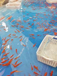 -孩子王童乐园(天津远洋乐堤港店)