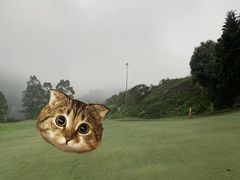 -南沙高尔夫球会