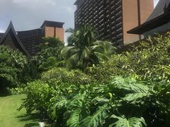 -三亚湾红树林度假世界(木棉酒店)