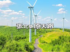 -御道口草原森林风景区