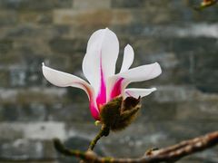 -东华门大街小区