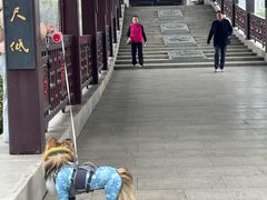 -长广溪湿地公园