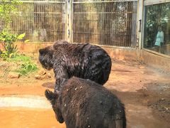-昆明动物园