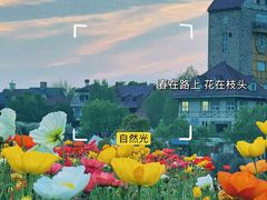 -花博汇(知音花月夜)