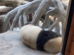 -宁波野生动物园