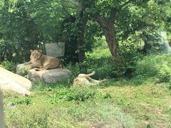 -西安秦岭野生动物园