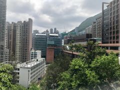 -香港大学