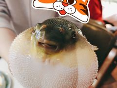 -肆月河豚·新淮扬(金融街店)